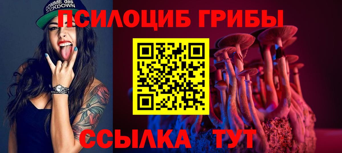Ахтубинск  Псилоцибиновые грибы мицелий  Вход с VPN 